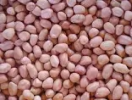 Groundnut Seeds