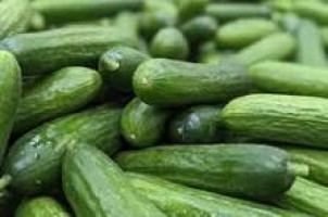 Persian cucumbers