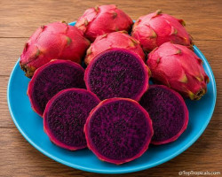 Red Dragon fruit
