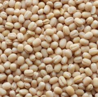 Uddi ballu / White Lentils